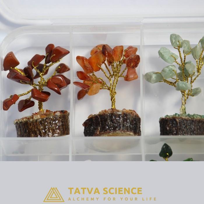 Small Tree Crystal Box1